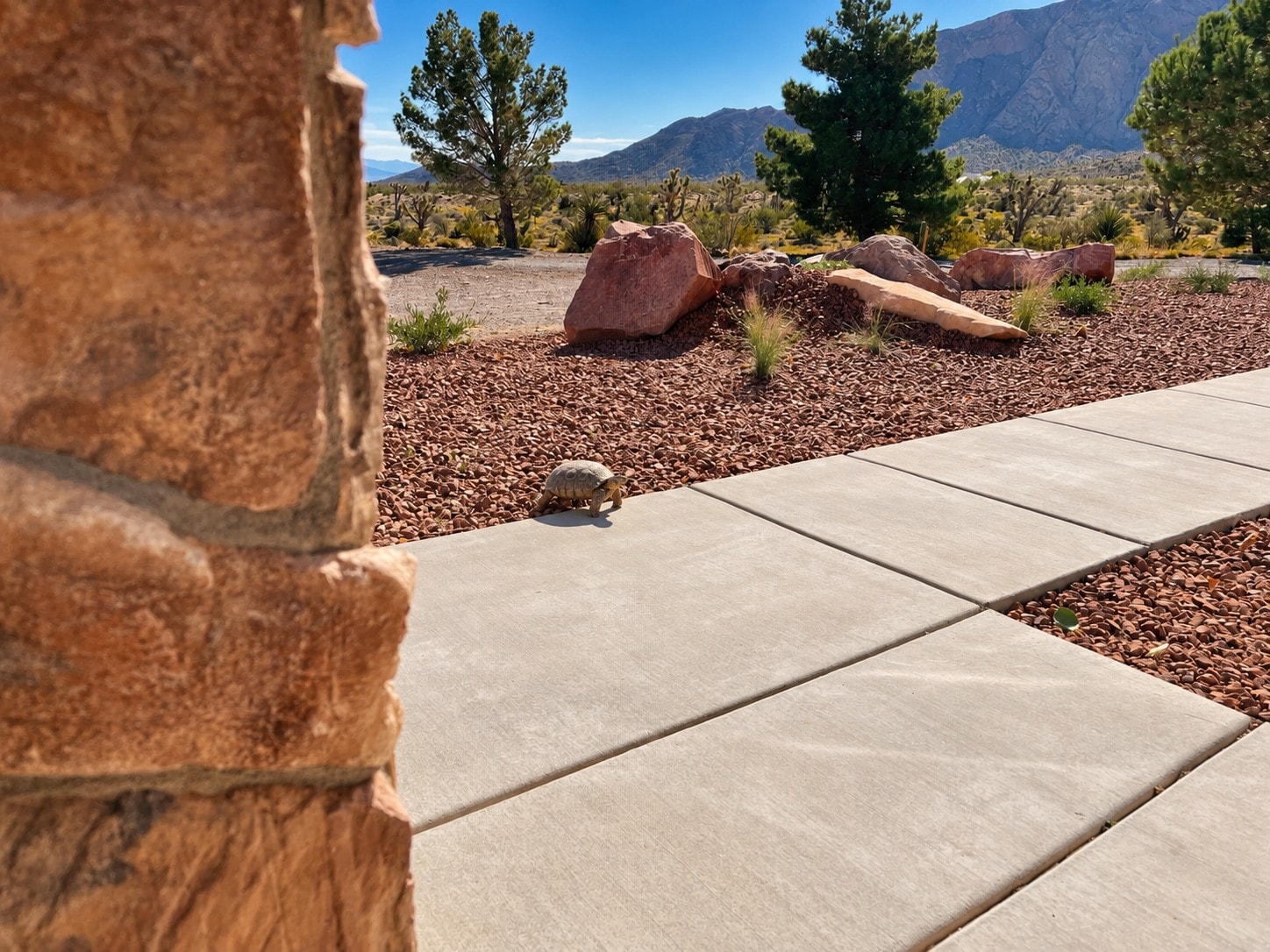 Desert landscape at Rancho Tortuga with open sky and mountains