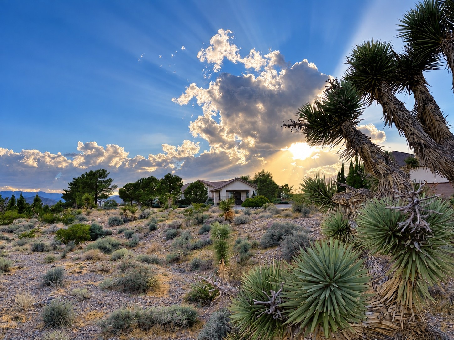 Desert house with yucca plants and dramatic sunset sky